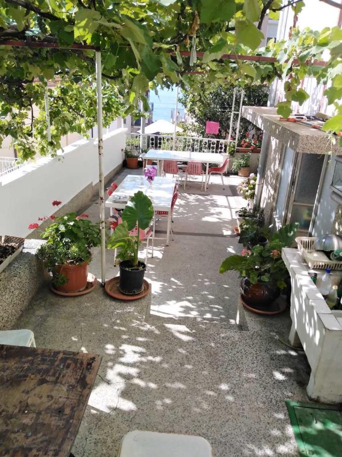 ホテル Vila Stefan ポダツァ エクステリア 写真