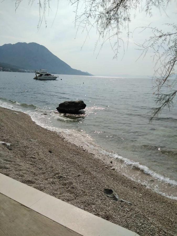 ホテル Vila Stefan ポダツァ エクステリア 写真